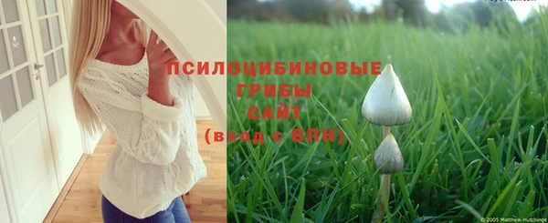 гашишное масло Гусев