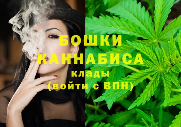 амф Гусь-Хрустальный