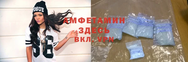 амф Гусь-Хрустальный