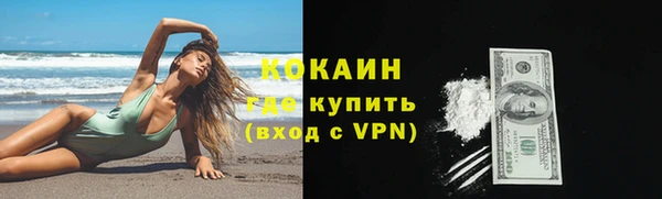 амф Гусь-Хрустальный