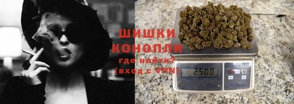 амф Гусь-Хрустальный