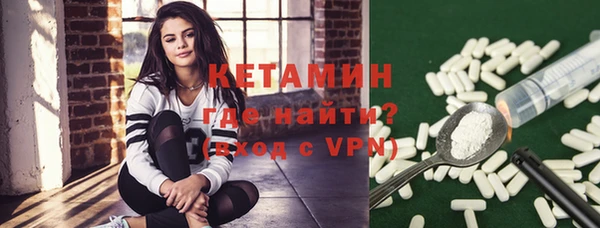 амф Гусь-Хрустальный