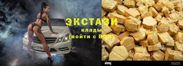 амф Гусь-Хрустальный
