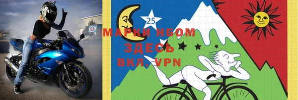 амф Гусь-Хрустальный